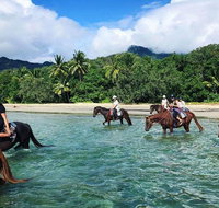 Afternoon Beach Horse Ride in Cape Tribulation - Find Attractions