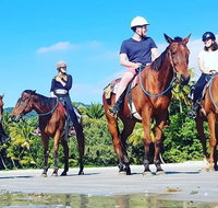 Mid-Morning Beach Horse Ride in Cape Tribulation with Pick Up - Find Attractions