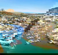 Explore Townsville 7 Hour Guided River Mountain and City Tour - Find Attractions