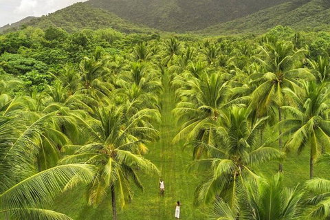 SHUTTLE - Thala Beach And Turtle Cove From Port Douglas (Return Transfer) - Find Attractions 1