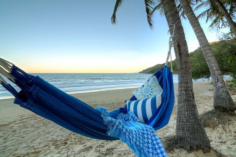SHUTTLE - Thala Beach And Turtle Cove From Port Douglas (Return Transfer) - Find Attractions 3