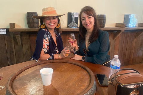 Mt Tamborine Wine Tour - Find Attractions 0