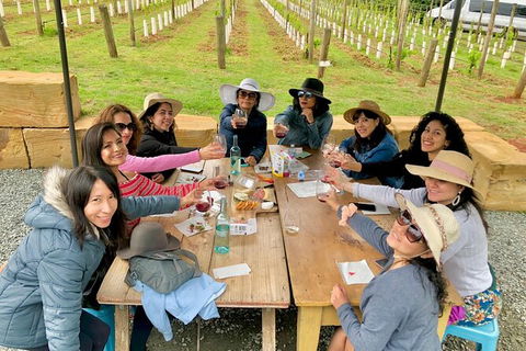 Mt Tamborine Wine Tour - Find Attractions 14