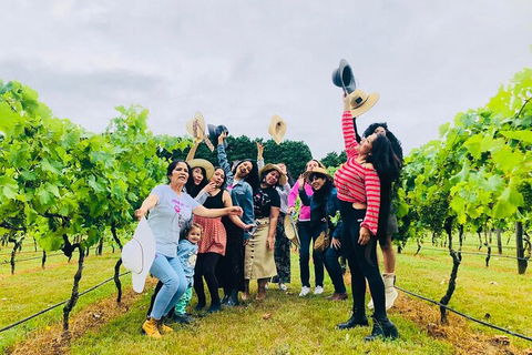 Mt Tamborine Wine Tour - Find Attractions 18