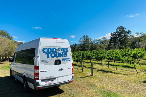 Mt Tamborine Wine Tour - Find Attractions 12