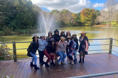 Mt Tamborine Wine Tour - Find Attractions 7