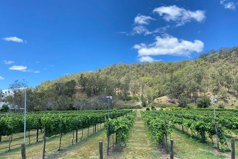 Mt Tamborine Wine Tour - Find Attractions 9
