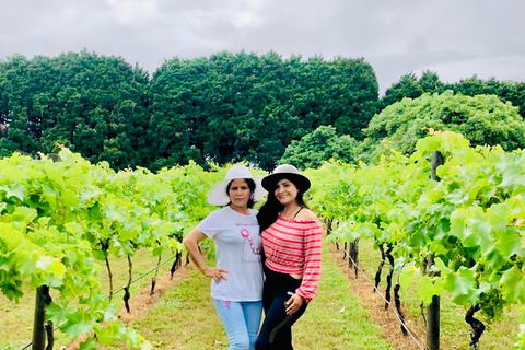 Mt Tamborine Wine Tour - Find Attractions 13