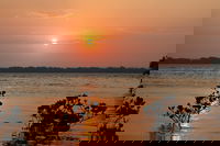 Private Full-Day Guided Tour with workshop Karragarra and Macleay Island