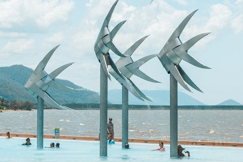 Private From 3 Hours Charter In Cairns Surrounding Area - Find Attractions 1