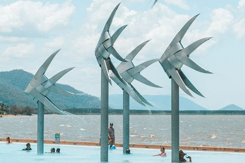Cairns Airport Private Chater Transfer - Find Attractions 4