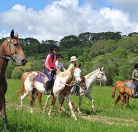 Horse Riding with Petting Zoo Visit in Cairns - Find Attractions