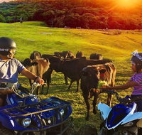 ATV Ride with Petting Zoo Experience in Kuranda from Cairns - Find Attractions