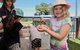 Horse And ATV Riding With A Visit To A Petting Zoo From Cairns - thumb 2
