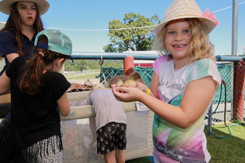 Horse And ATV Riding With A Visit To A Petting Zoo From Cairns - Find Attractions 2