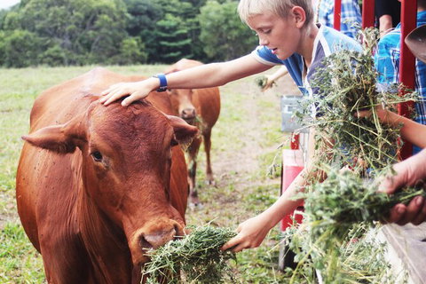 Horse And ATV Riding With A Visit To A Petting Zoo From Cairns - Find Attractions 5
