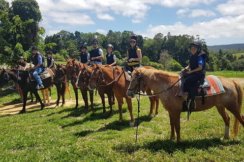 Horse And ATV Riding With A Visit To A Petting Zoo From Cairns - Find Attractions 1