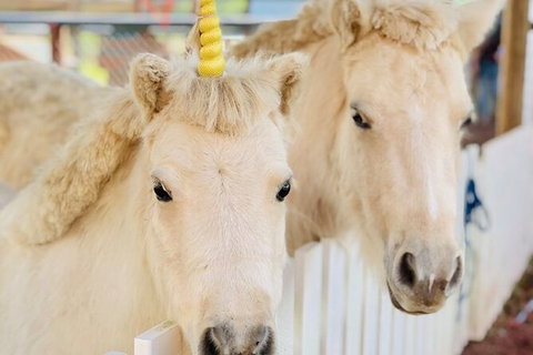 Horse And ATV Riding With A Visit To A Petting Zoo From Cairns - Find Attractions 4