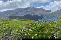 Hinchinbrook Island Tour