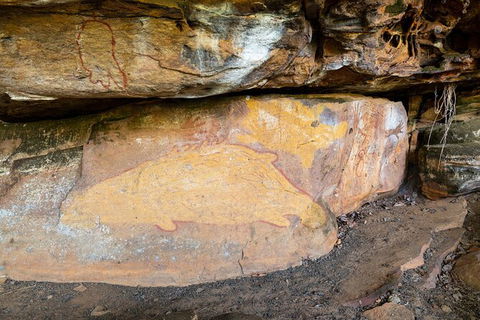 Half Day Aboriginal Rock Art Experience In Queensland - Find Attractions 3