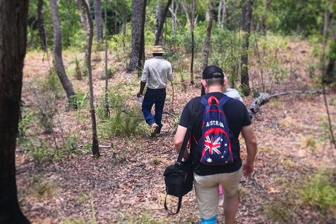 Half Day Aboriginal Rock Art Experience In Queensland - Find Attractions 5