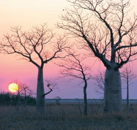 8-Day Outback Experience from Queensland - Find Attractions