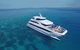 2-Day Great Barrier Reef And Daintree Rainforest Combo Package - thumb 12