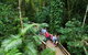 2-Day Great Barrier Reef And Daintree Rainforest Combo Package - thumb 6