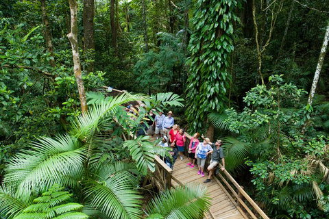 2-Day Great Barrier Reef And Daintree Rainforest Combo Package - Find Attractions 6