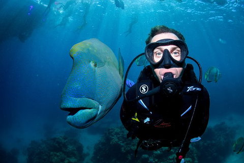 2-Day Great Barrier Reef And Daintree Rainforest Combo Package - Find Attractions 9