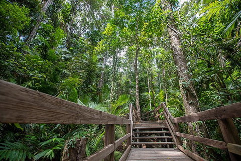 2-Day Great Barrier Reef And Daintree Rainforest Combo Package - Find Attractions 11