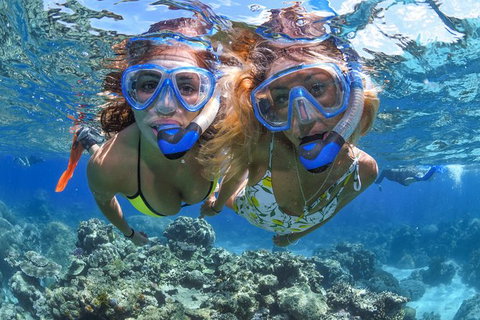 2-Day Great Barrier Reef And Daintree Rainforest Combo Package - Find Attractions 3