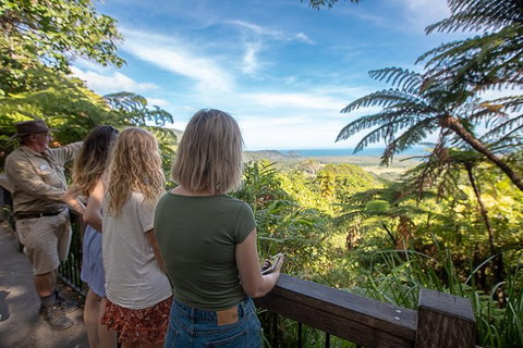 2-Day Great Barrier Reef And Daintree Rainforest Combo Package - Find Attractions 1