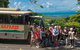 2-Day Great Barrier Reef And Daintree Rainforest Combo Package - thumb 10