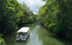 2-Day Great Barrier Reef And Daintree Rainforest Combo Package - thumb 7
