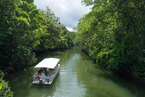 2-Day Great Barrier Reef And Daintree Rainforest Combo Package - Find Attractions 7