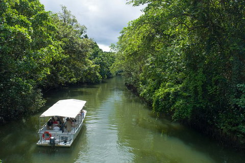 World Heritage Highlights: Reef/Daintree/Cape Tribulation - Find Attractions 1