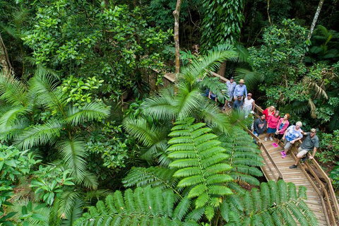 World Heritage Highlights: Reef/Daintree/Cape Tribulation - Find Attractions 3