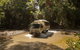 World Heritage Highlights: Reef/Daintree/Cape Tribulation - thumb 6