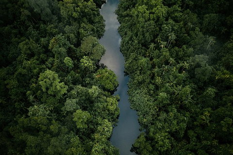 World Heritage Highlights: Reef/Daintree/Cape Tribulation - Find Attractions 10