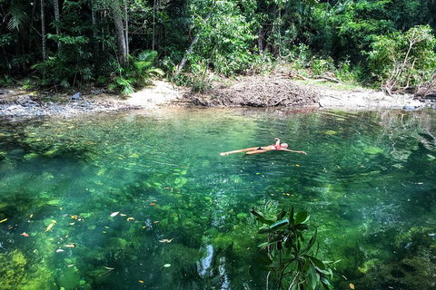 World Heritage Highlights: Reef/Daintree/Cape Tribulation - Find Attractions 4