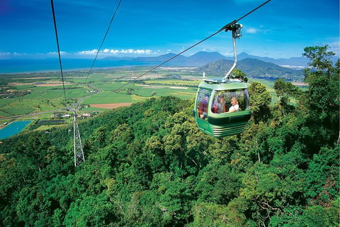 2 Day Reef & Rainforest Adventure - Find Attractions 6