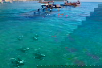 Adventure Moreton Island Scuba Dive Tour