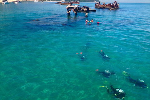 Adventure Moreton Island Scuba Dive Tour - Find Attractions 0