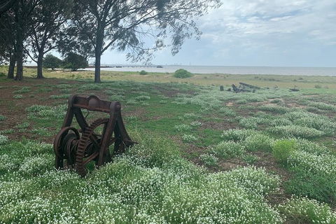 Half Day St. Helena Island Tour - Find Attractions 1