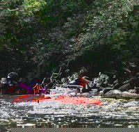 Mossman Gorge Adventure Day - Find Attractions