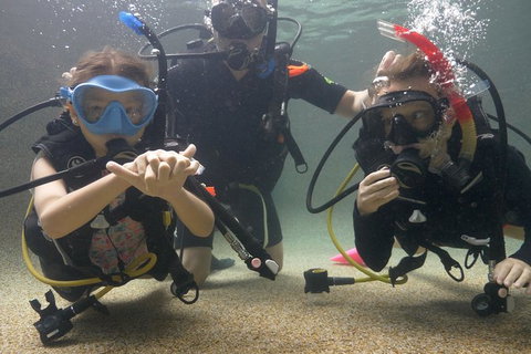Scuba Kids- Padi Bubblemaker Course - Find Attractions 4