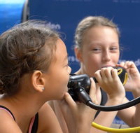 Scuba Kids- Padi Bubblemaker Course - Find Attractions