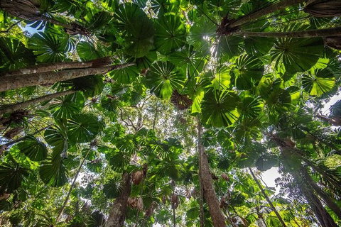 5 Day Australia Retreat: Queensland Daintree - Find Attractions 4