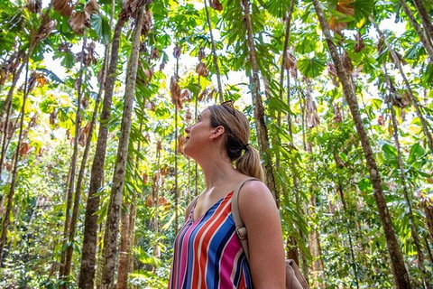 5 Day Australia Retreat: Queensland Daintree - Find Attractions 3